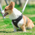 Wholesale OEM Adjustable Dog Harness